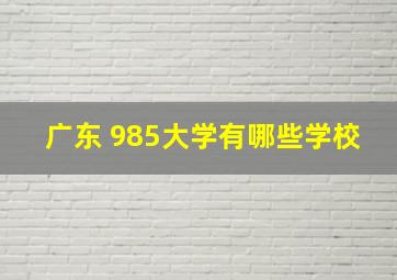 广东 985大学有哪些学校